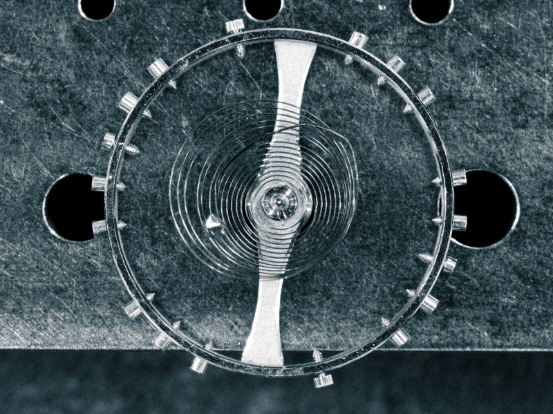 hairspring
